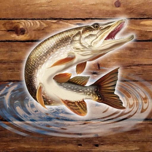 Fischregen